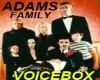 Adams Family TV VB