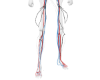 僕は壊れて