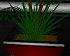 [AG] Trowa Plant 2