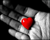 My Heart in Your Hand