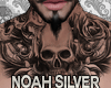 Jm Noah Silver