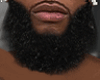 Beard,,,Black