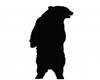 Silhouette-Bear standing