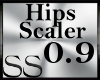 *SS Hip Scaler 0.9