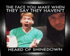 Shinedown Picture