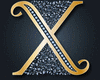 X SYSSI*