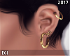 E. Gold Earrings