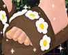 ♡ Slipper Flowers