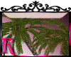 *R* Palm Trees Enhancer
