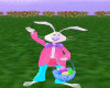 ~Animated Easter Bunny~