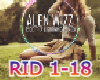 Alen Wizz Ride It Remix