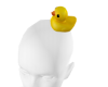 Duck F