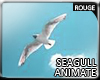 G . Seagull Animate