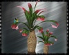 Tropical Beach Parrot 2