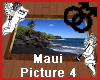 Maui Hawaii Picture 4