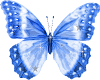 Flying Butterfly Blue RK