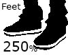 Feet 250% Scaler