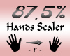 Hands Scaler 87,5%