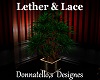 lether & lace plant