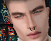 T. Tommy MH
