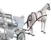 Wedding Carriage