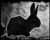 [SS] Bunny Pet - Black