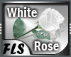[FLS] Rose White Special