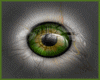 [MAR]Green realistic eye