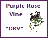 *DRV* Purple Rose Vine