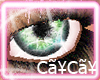CaYzCaYz EyesDuoBluGreen