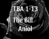 The Bill Aniol