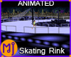 MJ Rooftop Skating Rink