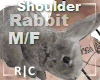 R|C Real Rabbit Gray MF