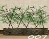 007 bamboo planter