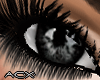 (ACX)Black Eyes V2