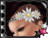 Jx Floral Headband M