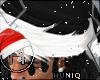 Ⓗ Xmas Hat 🎅
