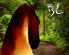 Red Roan horse (Pet)