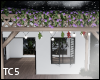 Grapes pergola