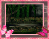 Moon Lite Pond