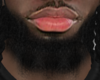 Asteri Beard #026