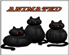 ~R~ Pumpking Black Cats