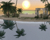Sunset  Beach