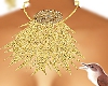 Feather 2 Golds Necklace