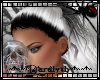 (D) Abandoned Umbrosia