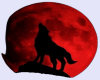 6v3| Wolf under Red Moon