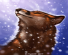 Snow loving Fox