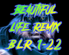 Beautiful Life Remix