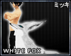 ! White Fox II #Animated