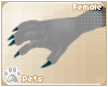 [Pets] Naui | claws